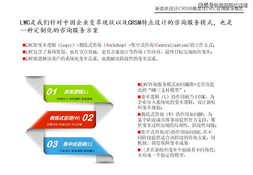 CRSM模型與LWC咨詢服務模式 信息咨詢服務的新范式